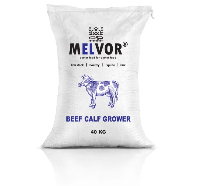 Feed  Beef Calf & Dairy Cows