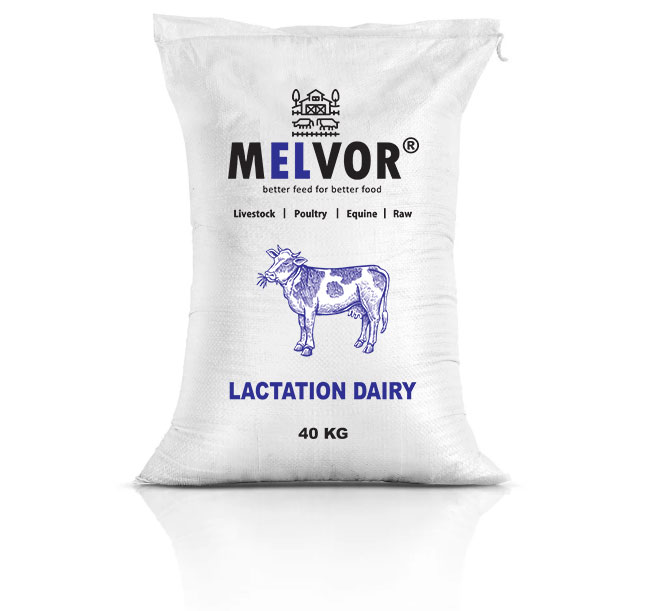 Feed  Beef Calf & Dairy Cows